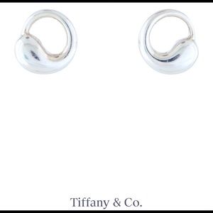 Authentic Tiffany & Co. Eternal Circle Earrings!